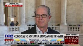 Sen Mike Braun R IN with some advice for Senate Minority